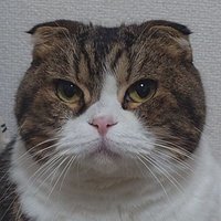 うなぎマン (@doku_bukuro) 's Twitter Profile