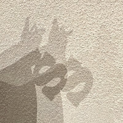 11iise7 Profile Picture