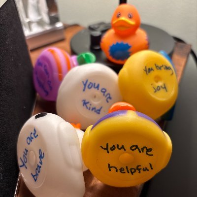 2022 @NYSAHPERD Joy of Effort Award; 2020 @SHAPEAmerica_ED PE Elementary TOY; 2018 @NYSAHPERD TOY. #MeaningfulPE #BrainBodyConnection #FreePlay #CSPAP