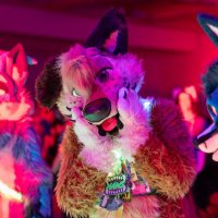 Bax (@the_cute_collie) 's Twitter Profile Photo Bax (@the_cute_collie) 's Twitter Profile Photo