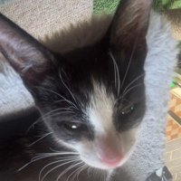 punda (@puuundaaa) 's Twitter Profile Photo