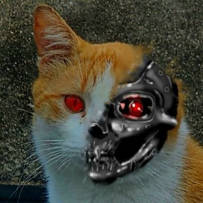 Family man, artist, animator, action figure collector, gamer, and currently workin on a few projects. I relax to angry music and B rated horror movies.