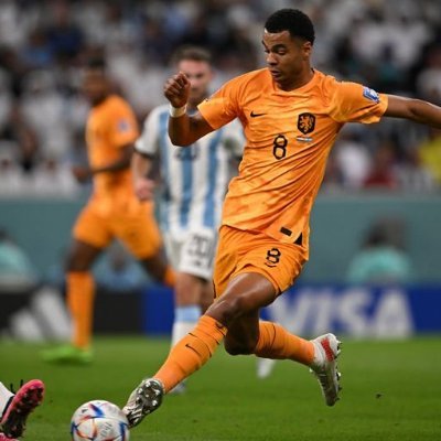 elian_abood's profile picture. 