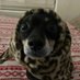 bread (@dumbbitchbrenda) Twitter profile photo bread (@dumbbitchbrenda) Twitter profile photo