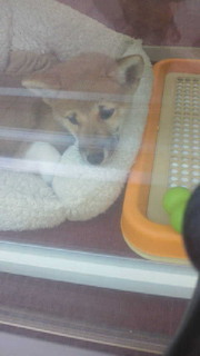 dachan4649's profile picture. 障がい者ですが、明るく前向きに歩いています(^^)v