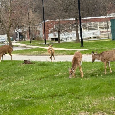 NkgubTrace's profile picture. Use your smile to live a life of pride that no one can compare to.🎈🎈