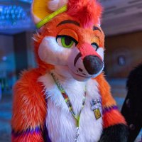 Zeke FoxDog (@zekefoxdog) 's Twitter Profile Photo
