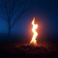 Light in the Void (@hopeburnson) 's Twitter Profile Photo Light in the Void (@hopeburnson) 's Twitter Profile Photo