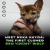 Neka Kayda (@nekakayda_sol) Twitter profile photo Neka Kayda (@nekakayda_sol) Twitter profile photo