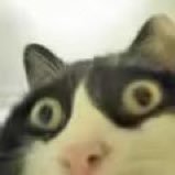 kaching0419's profile picture. 