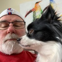 Patriot_Brian 🇺🇸 (@magabrian23) 's Twitter Profile