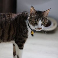 kuku (@kuku122900) 's Twitter Profile Photo