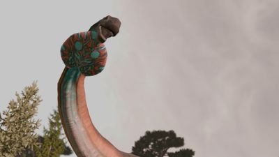 Unknown00112438's profile picture. Taxonomy:
Saurischia ➡️ Sauropodomorpha ➡️ Sauropoda ➡️ Macronaria ➡️ Camarasauromorpha ➡️ Titanosauriformes ➡️ Euhelopodidae ➡️ Phuwiangosaurus