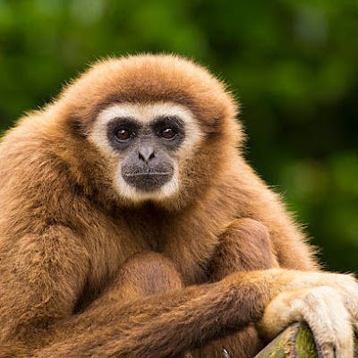 LRobertson13508's profile picture. 