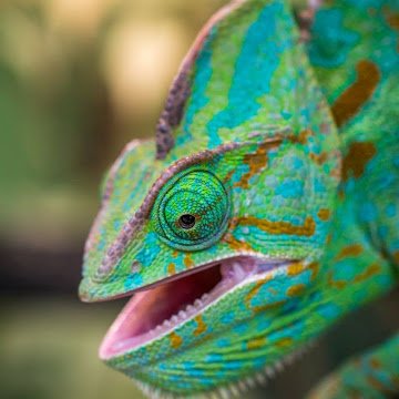 phatbm001's profile picture. @Atleta_Network