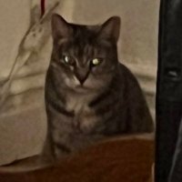 play-in game hater (@_itskellyo) 's Twitter Profile
