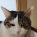 ono (@onotecse) Twitter profile photo ono (@onotecse) Twitter profile photo