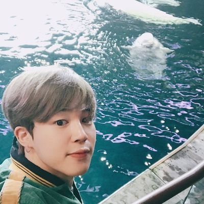 pillow13jm's profile picture. มันคือวาฬเบลูก้าตะหากแต่เปลี่ยนชื่อไม่ได้ละ รอก่อนนะ😂

🚫ชปอย่ามาฟอล เดี๋ยวโลมาจะด่าคุณแม่ของพี่ๆเอานะคะ☺️