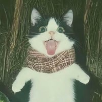 HH（互fo） (@hehe1925336670) 's Twitter Profile