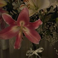 دانه المويهي (@dana_77707) Twitter profile photo