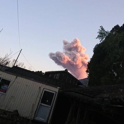 AE906835834's profile picture. 