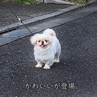 J11721Tk's profile picture. 一瞬にして救済 There is no "evil" — only a corrupted form of good..  あの、この垢ではもう人を不快にさせません 今まで皆ありがとう 世界は素晴らしい 明日はきっといい日だ そうだ皆納税しよう☺️