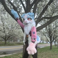 Sye🏳️⚧️ (@syethepup) 's Twitter Profile Photo Sye🏳️⚧️ (@syethepup) 's Twitter Profile Photo