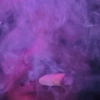 JJ🩵 (@mr420himselff) 's Twitter Profile