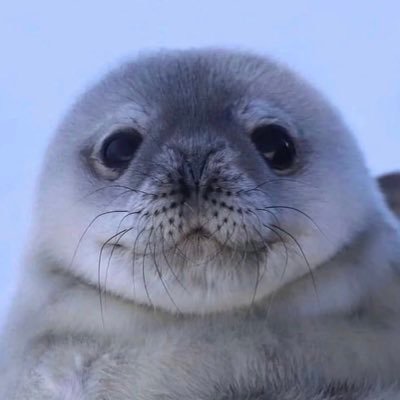 grugさんのプロフィール画像