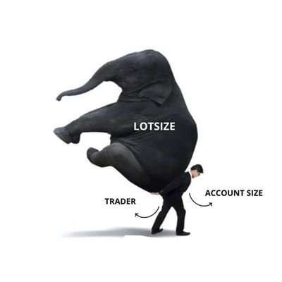 amour_kato's profile picture. RUTHLESS CLARITY 🐐 

Paciente_king 👑