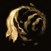 Buckeera (@buckeeraart) Twitter profile photo Buckeera (@buckeeraart) Twitter profile photo
