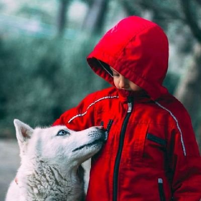 _Couragee_'s profile picture. Forex/Crypto Trader📊📈📉 Defi Researcher|| Memer💀|| Collab Manager|| Moderator: Cryto/ NFT Projects|| Content Creator|| Nft Hunter.