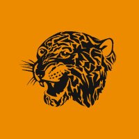 Hull City (@hullcity) 's Twitter Profile
