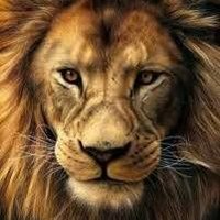 It's Kenito (@itskenitoke) 's Twitter Profile