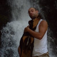 jojo17 (@jml1772) 's Twitter Profile