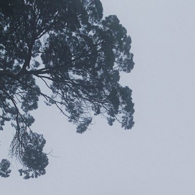 pgjmz93981119's profile picture. 早就知道结局的故事就平平淡淡地演着