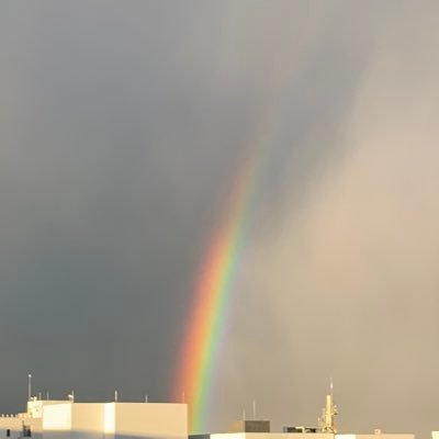 kasumi2584's profile picture. べらぼう がないと 生きて行けない