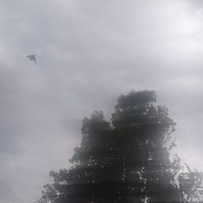 bhole33635576's profile picture. 