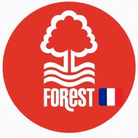 Nottingham Forest Franceđšđ” (@trickytreesfr) 's Twitter Profile