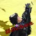 うおちゃん (@iamme_musical) Twitter profile photo うおちゃん (@iamme_musical) Twitter profile photo