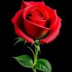 Me gustan muchas cosas pero no por ese orden. (@lafeadelbaile) 's Twitter Profile Photo