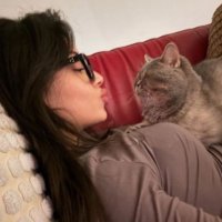 - (@plfnpr) 's Twitter Profile