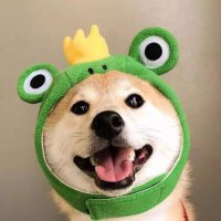 每日大赛 (@andrewlopekospr) 's Twitter Profile