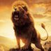 Nasir Abdul (@nasir__abdul) Twitter profile photo Nasir Abdul (@nasir__abdul) Twitter profile photo