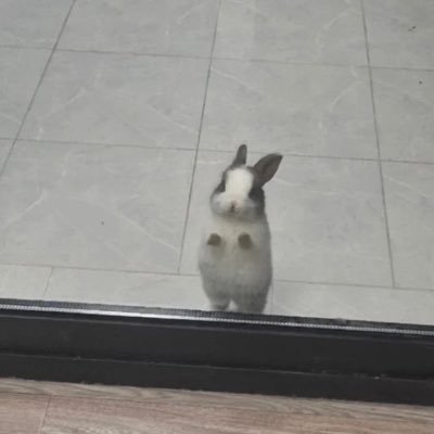 女風🔰ユーザー/既婚/地方住み/甘やかされたい/激重思考/極細繊維🪡/回遊模索中/ピさんフォローしたいけどできてないです/全力でいいねしてます/呟きたいことだけ/呟いたり消したり/鍵掛けたり外したり/