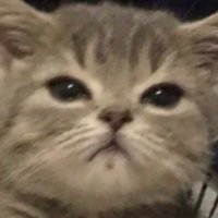 kanompang🍞 (@kanompangni) 's Twitter Profile Photo kanompang🍞 (@kanompangni) 's Twitter Profile Photo