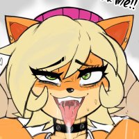 Coco (@bandicootfindom) Twitter profile photo
