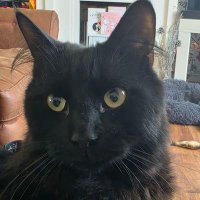 Debbie doo dah (@salesy67) 's Twitter Profile