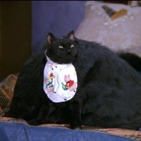 mentally ill cat luvr (@tranquilitygrl) 's Twitter Profile