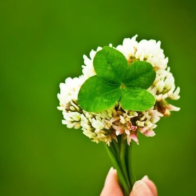 2月11日から、ブログを始めました。日常の出来事を主に書いています。犬とRAMPAGEが大好きなシングルマザーです。